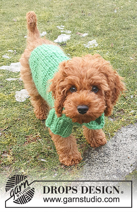 Good Boy Sweater / DROPS 245-34 - DROPS Snow lõngast kaelast sabani kootud kampsun koerale suurustele XS kuni L