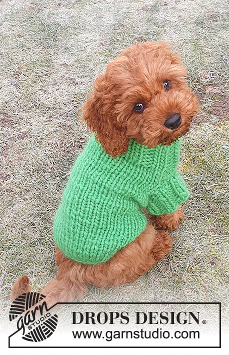 Good Boy Sweater / DROPS 245-34 - DROPS Snow lõngast kaelast sabani kootud kampsun koerale suurustele XS kuni L