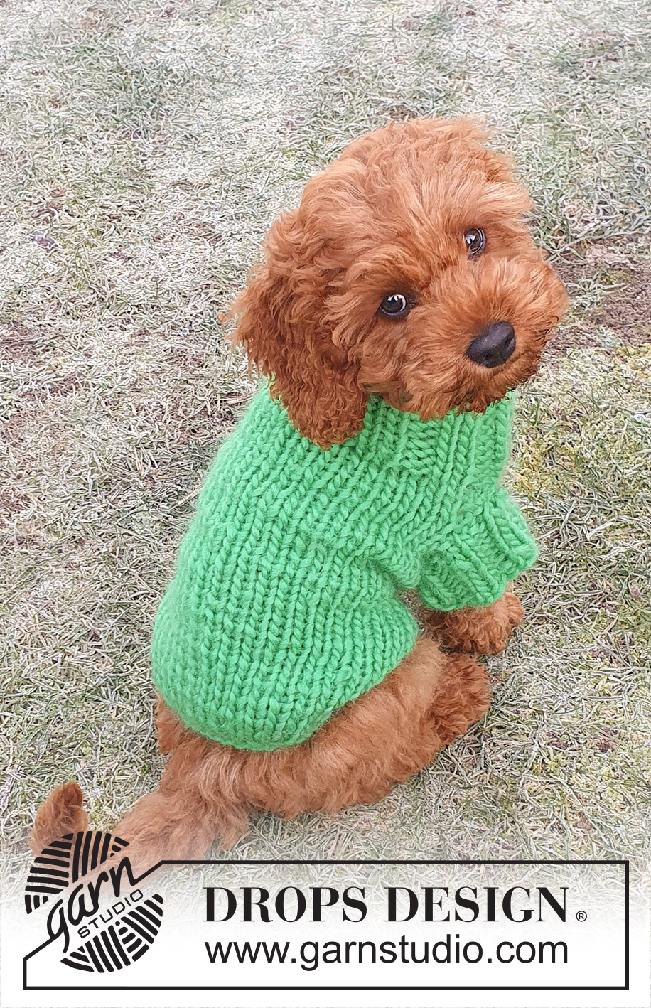 Good Boy Sweater / DROPS 245-34 - DROPS Snow lõngast kaelast sabani kootud kampsun koerale suurustele XS kuni L