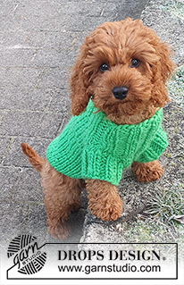 Good Boy Sweater / DROPS 245-34 - DROPS Snow lõngast kaelast sabani kootud kampsun koerale suurustele XS kuni L