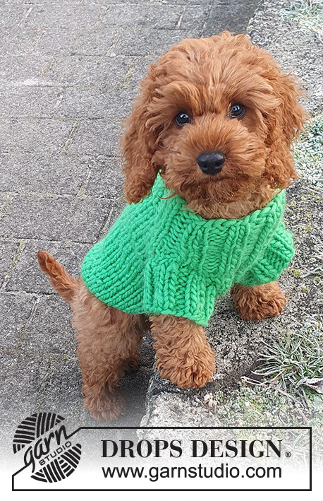Good Boy Sweater / DROPS 245-34 - DROPS Snow lõngast kaelast sabani kootud kampsun koerale suurustele XS kuni L