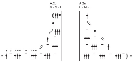 Diagram for DROPS 249-29
