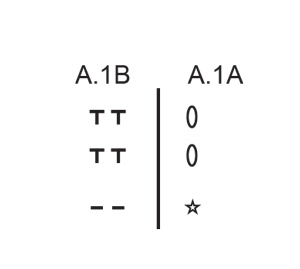 Diagram for DROPS 256-10