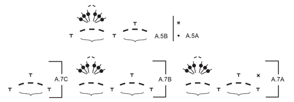 Diagram for DROPS 257-33
