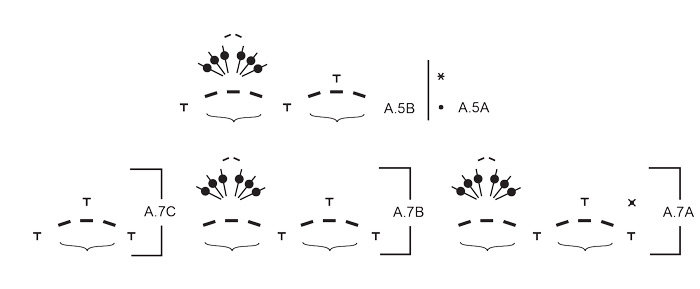 Diagram for DROPS 257-34
