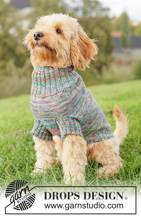 Floral Picnic Dog Sweater / DROPS 260-40 - Svetr pro psa pletený lícovým žerzejem a pružným vzorem z příze DROPS Fiesta.