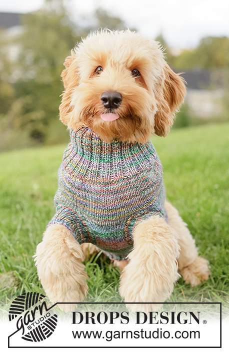 Floral Picnic Dog Sweater / DROPS 260-40 - Svetr pro psa pletený lícovým žerzejem a pružným vzorem z příze DROPS Fiesta.