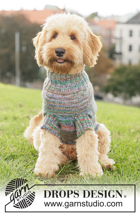 Floral Picnic Dog Sweater / DROPS 260-40 - Svetr pro psa pletený lícovým žerzejem a pružným vzorem z příze DROPS Fiesta.