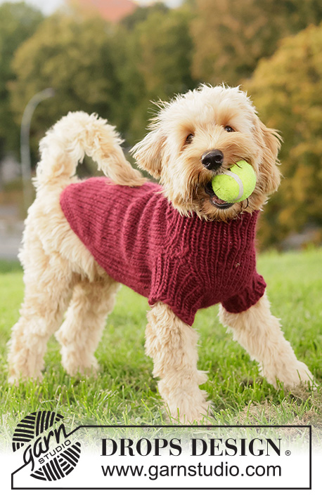 Free knitting pattern DROPS 260-41