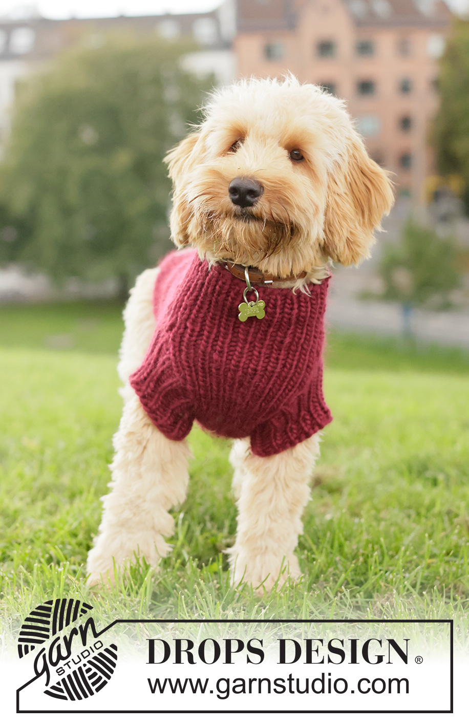 Snuggle Berry Dog Sweater / DROPS 260-41 - Svetr pro psa pletený shora dolů lícovým žerzejem a pružným vzorem z příze DROPS Snow. Velikosti: XS - L.
