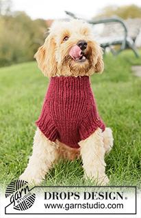 Snuggle Berry Dog Sweater / DROPS 260-41 - Svetr pro psa pletený shora dolů lícovým žerzejem a pružným vzorem z příze DROPS Snow. Velikosti: XS - L.