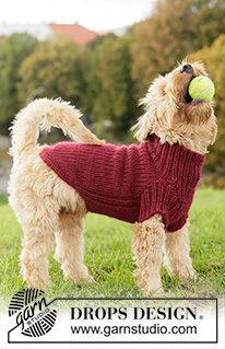 Snuggle Berry Dog Sweater / DROPS 260-41 - Svetr pro psa pletený shora dolů lícovým žerzejem a pružným vzorem z příze DROPS Snow. Velikosti: XS - L.