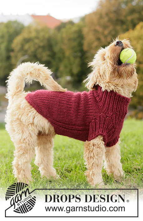 Snuggle Berry Dog Sweater / DROPS 260-41 - Svetr pro psa pletený shora dolů lícovým žerzejem a pružným vzorem z příze DROPS Snow. Velikosti: XS - L.