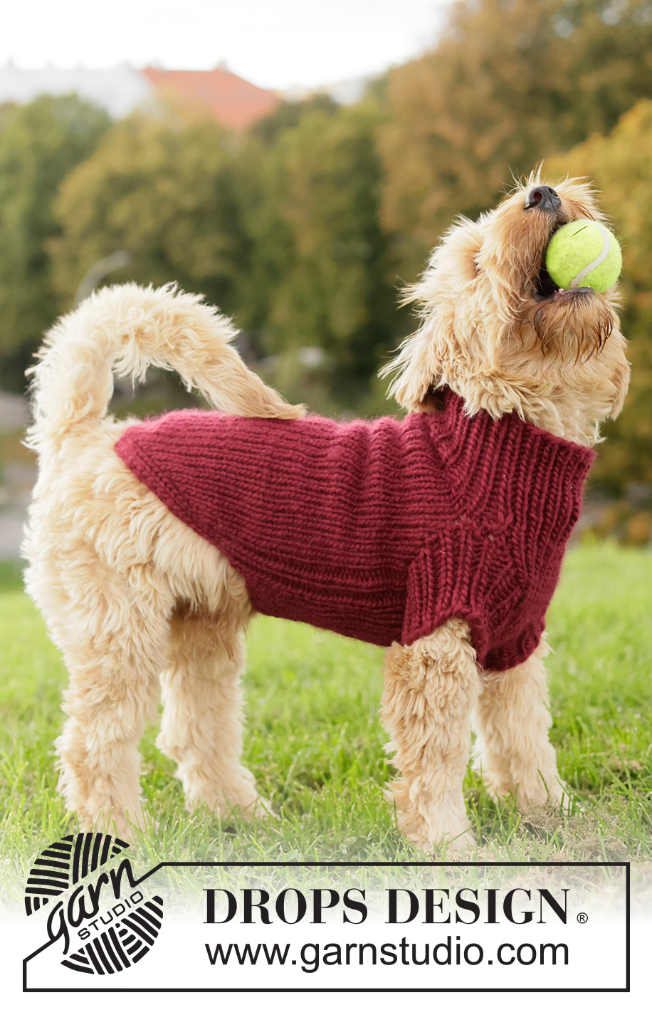 Snuggle Berry Dog Sweater / DROPS 260-41 - Svetr pro psa pletený shora dolů lícovým žerzejem a pružným vzorem z příze DROPS Snow. Velikosti: XS - L.