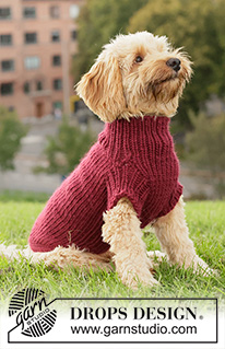Snuggle Berry Dog Sweater / DROPS 260-41 - Svetr pro psa pletený shora dolů lícovým žerzejem a pružným vzorem z příze DROPS Snow. Velikosti: XS - L.