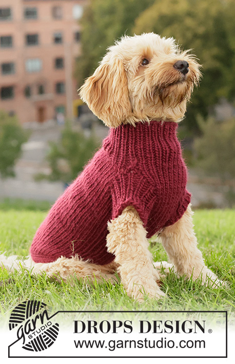 Snuggle Berry Dog Sweater / DROPS 260-41 - Svetr pro psa pletený shora dolů lícovým žerzejem a pružným vzorem z příze DROPS Snow. Velikosti: XS - L.