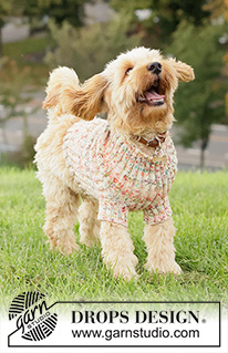 Happy Tails Dog Sweater / DROPS 260-42 - Svetr pro psa pletený pružným vzorem z příze DROPS Fiesta.