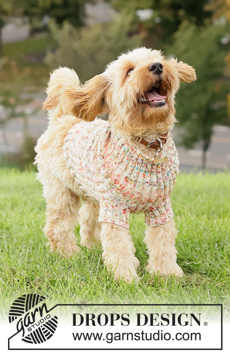Happy Tails Dog Sweater / DROPS 260-42 - Svetr pro psa pletený pružným vzorem z příze DROPS Fiesta.