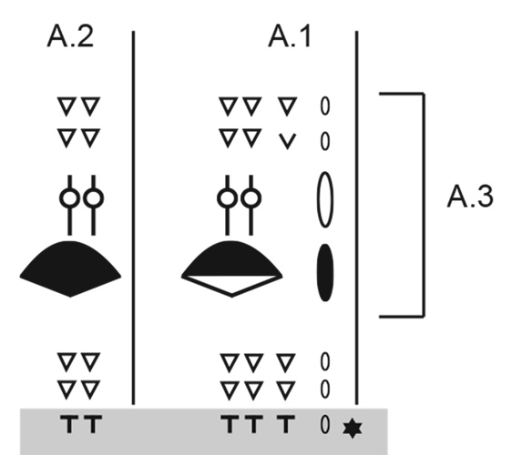 Diagram for DROPS 265-13