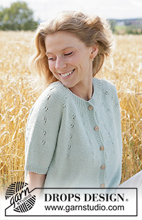 Kostenlose Strick- und Häkelanleitungen / DROPS 266-34