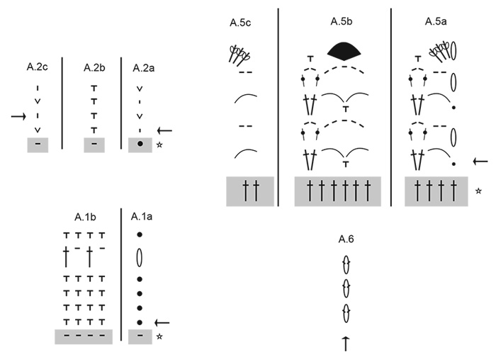 Diagram for DROPS 266-35