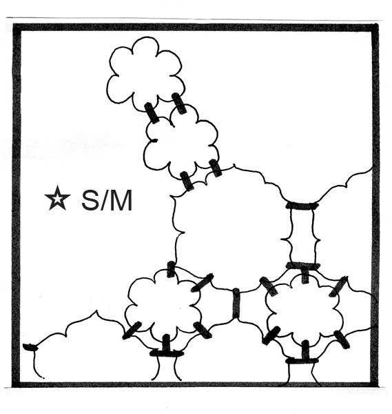 Diagram for DROPS 78-19