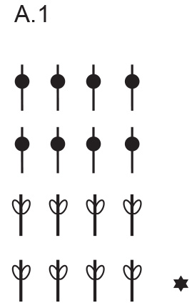 Diagram for DROPS Baby 33-5