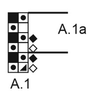 Diagram for DROPS Baby 36-10