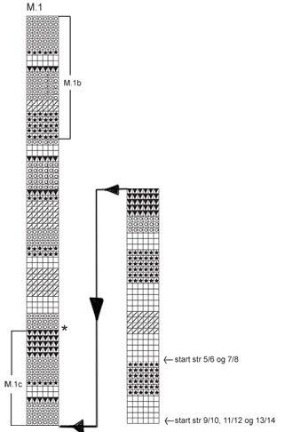 Diagram for DROPS Children 15-14
