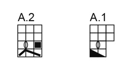 Diagram for DROPS Children 30-15