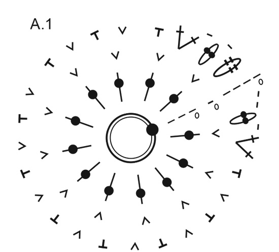 Diagram for DROPS Children 35-1