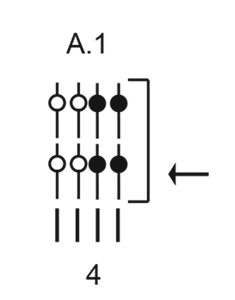 Diagram for DROPS Children 41-24