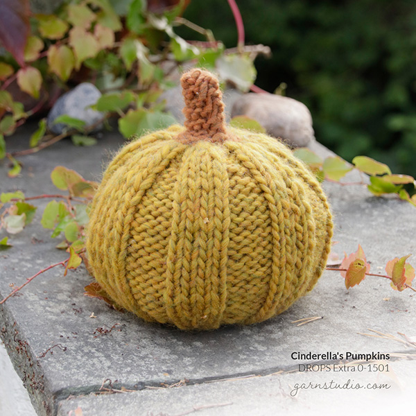 20221009-autumn.jpg