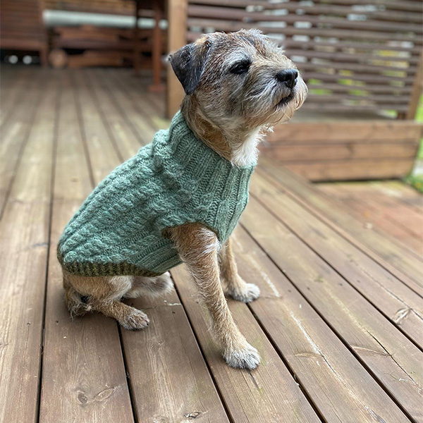 20221226-knits_from_north.jpg