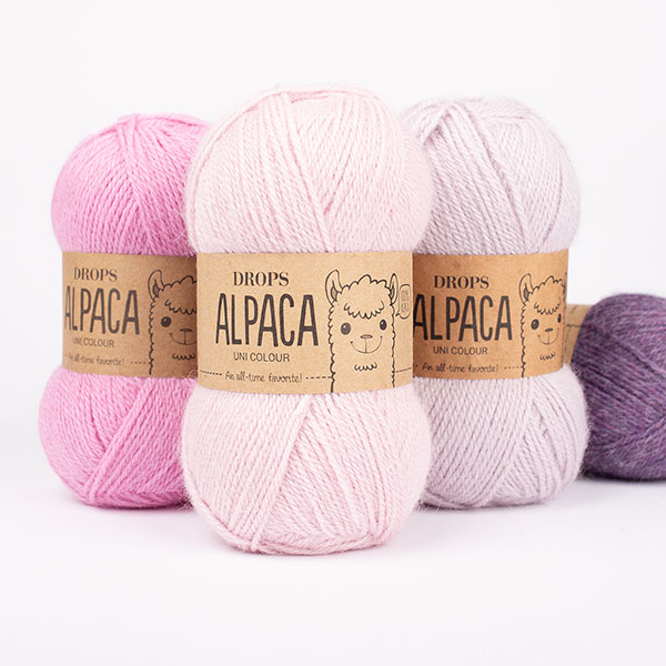 20230610-alpaca.jpg