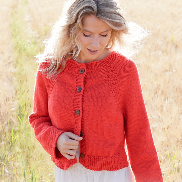 20241104-red-sweaters.jpg