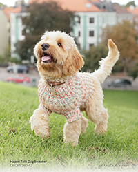 Instagram 20251022-dog-sweaters